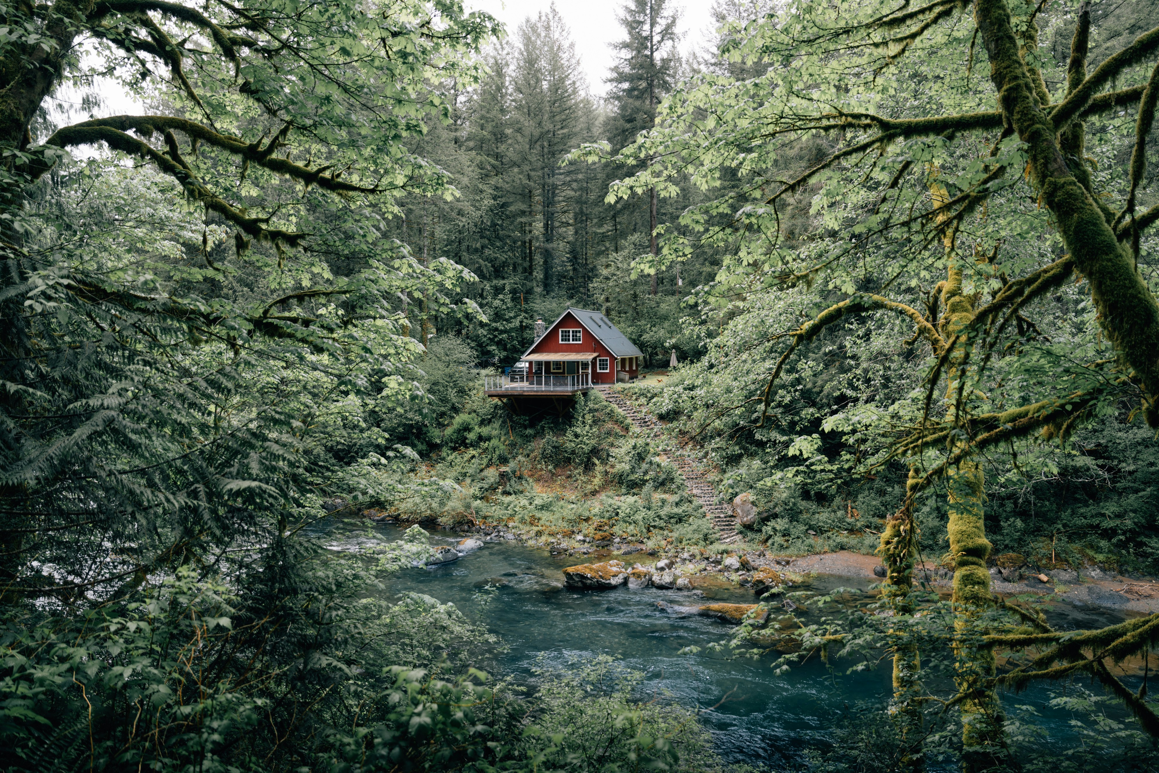 PNW forest cabin