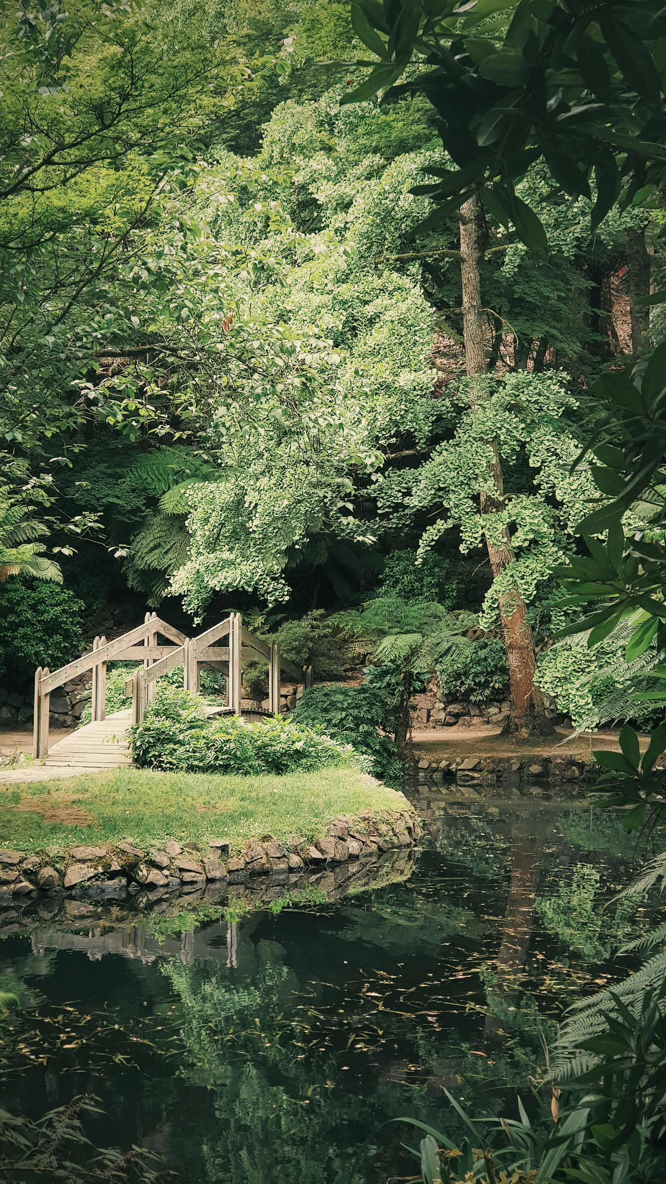 Garden bridge and pond