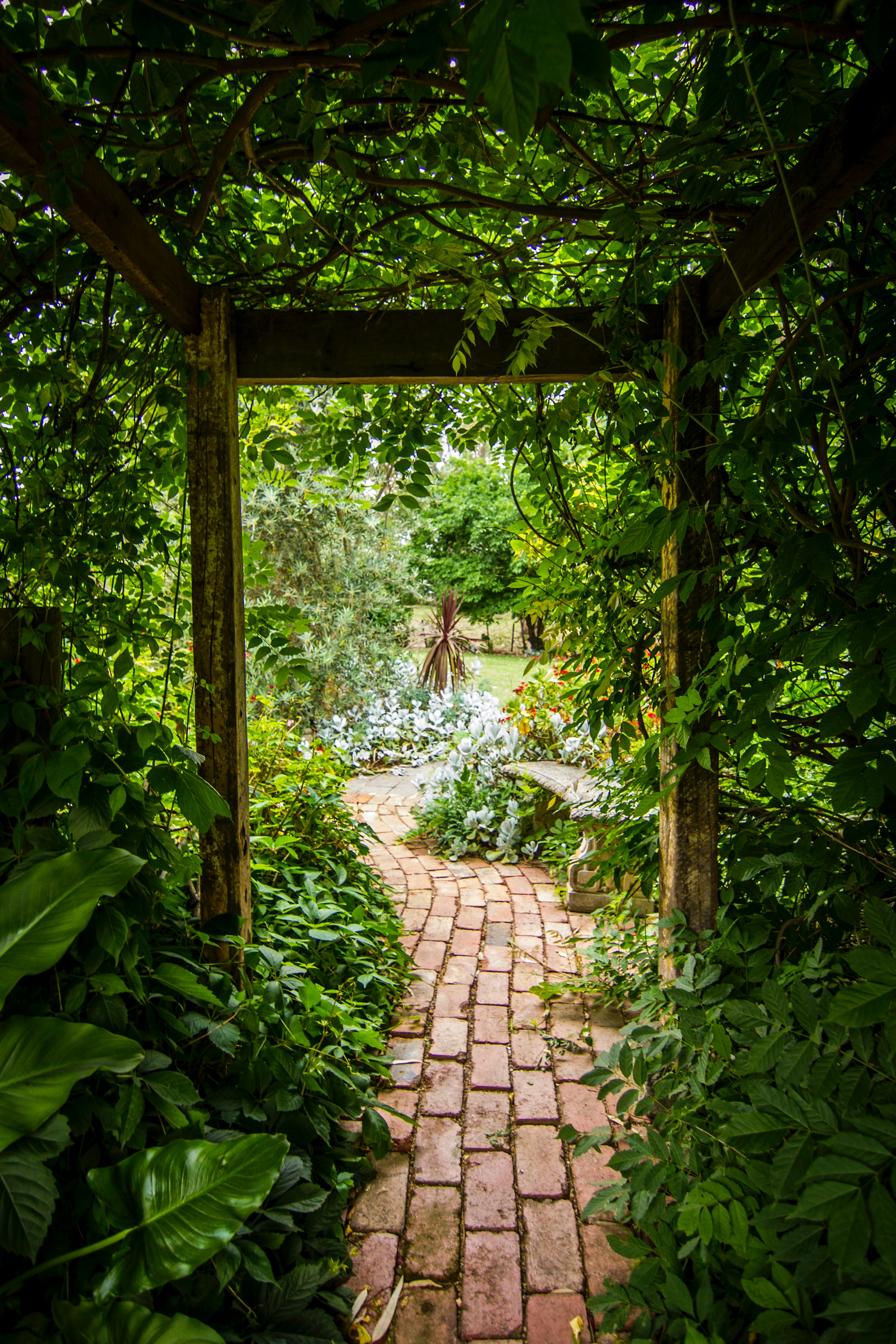 Garden path